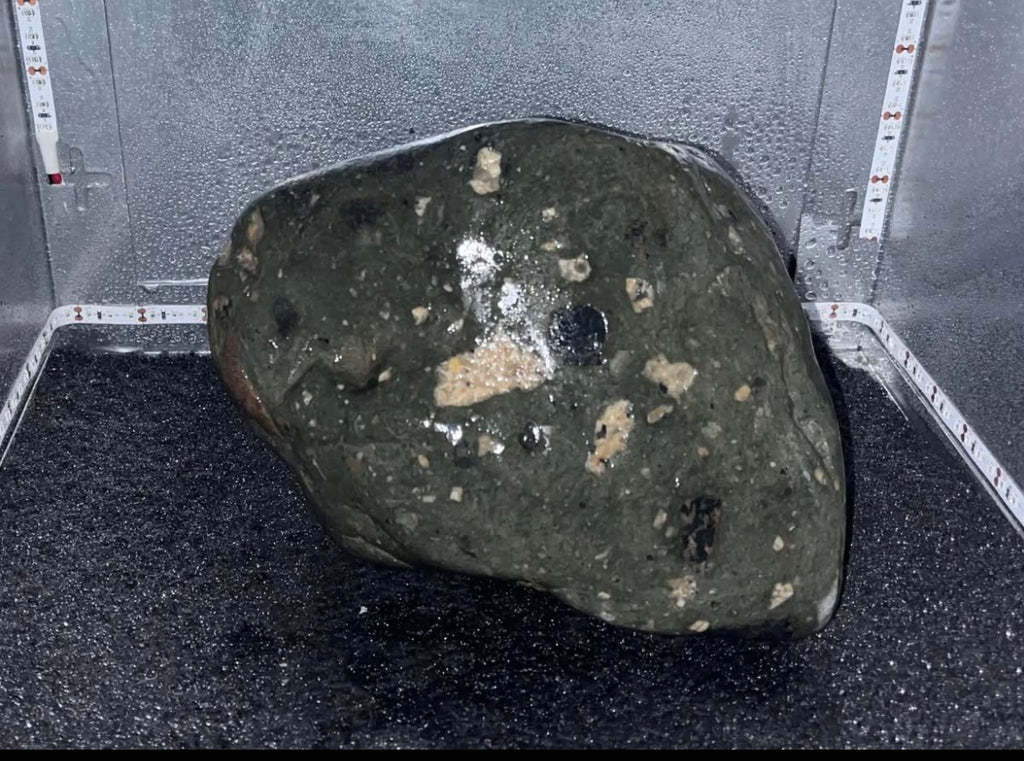 Gorgeous Fluorescent Sodalite aka NEOLite, Emberlite, Yooperlite, Glowdalite HUGE 7lbs